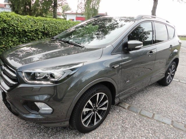 Kuga