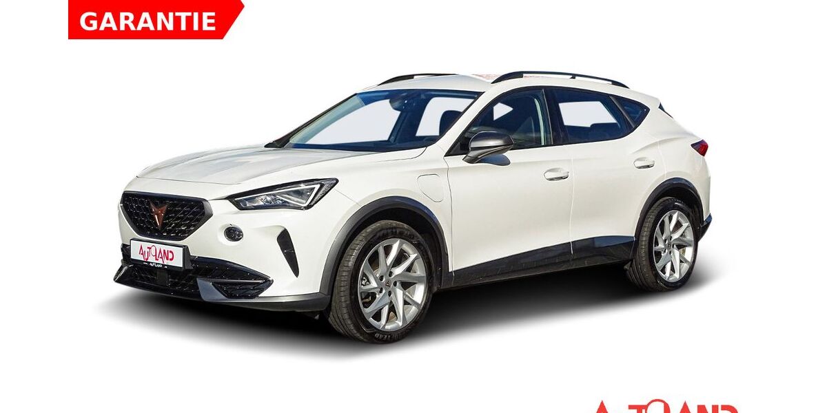 Cupra Formentor 55.992 km 22.990 &euro; Cottbus OT Kolkwitz 03099