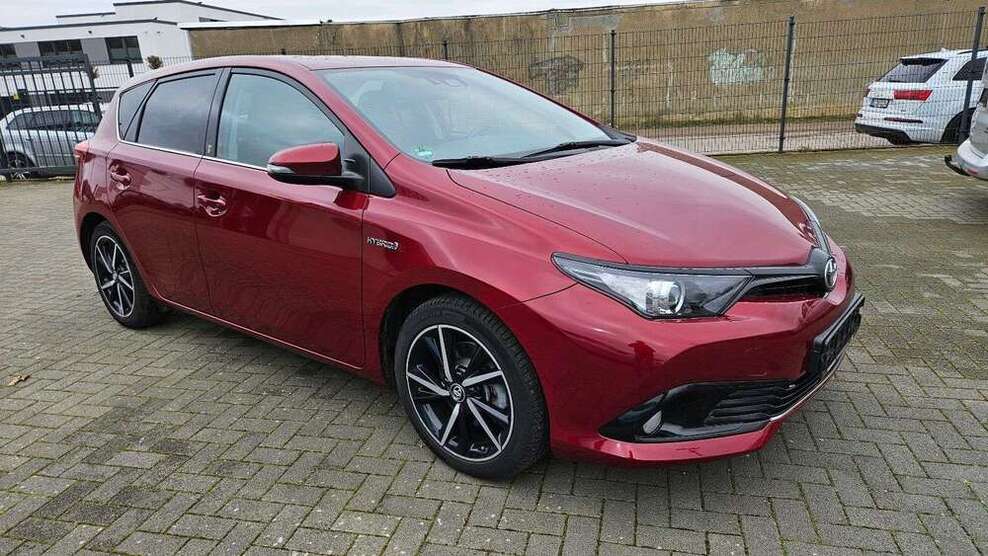 Auris