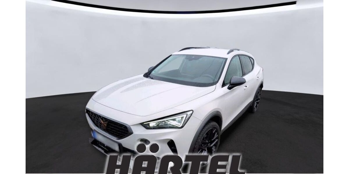 Cupra Formentor 22.000 km 24.900 &euro; Osnabrück 49084