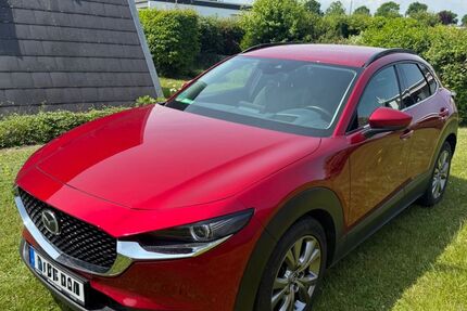 Mazda CX-30 91.000 km 21.900 &euro; Potsdam 14471