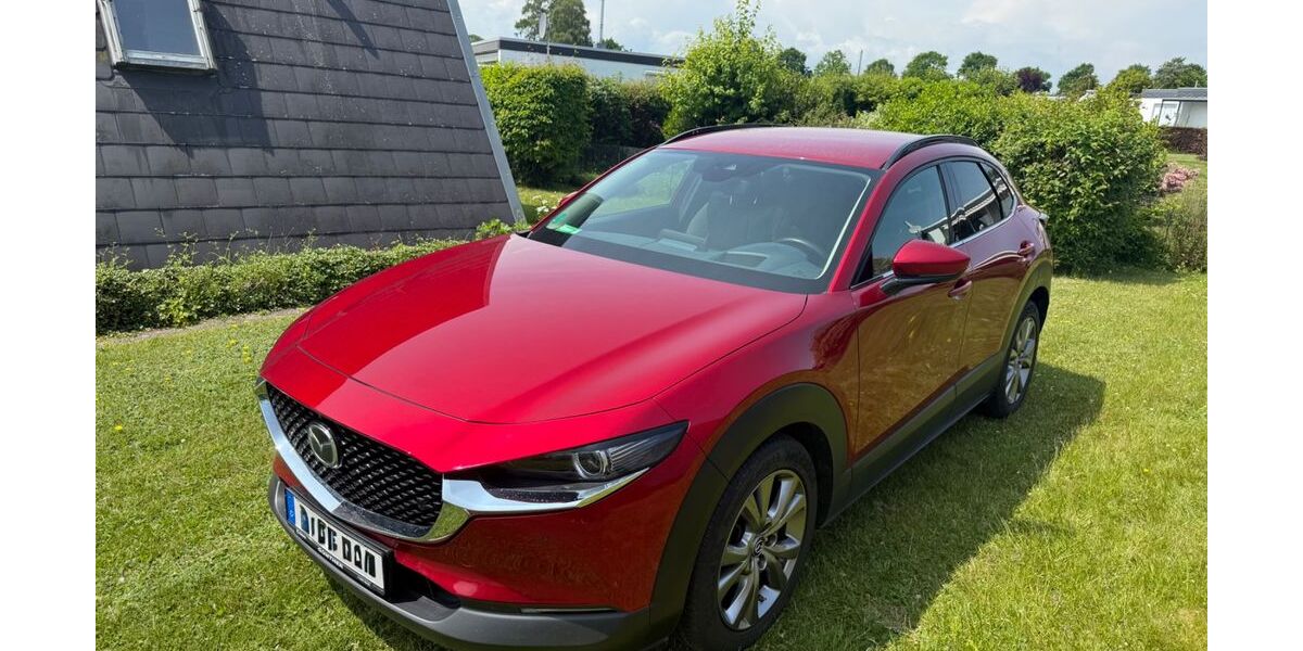 Mazda CX-30 91.000 km 21.900 &euro; Potsdam 14471