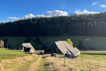 Provisionsfrei* Historisches Hofareal im Urachtal, -75 ha Land, Wald, Jagd zimmer