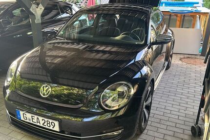 VW Beetle
