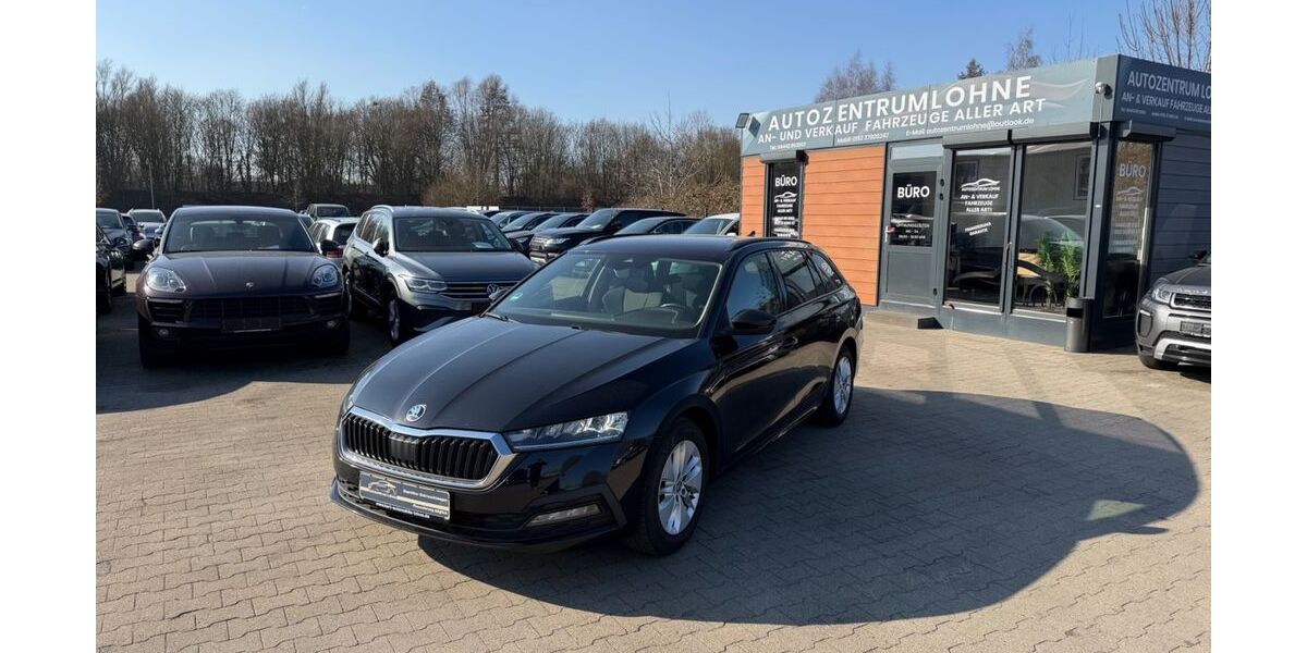 Skoda Octavia 250.000 km 9.990 &euro; Lohne 49393