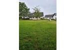 Mehrfamilienhaus, Wohnhaus Schieder-Schwalenberg Schwalenberg - 239.000&euro; | Angebot:26978865
