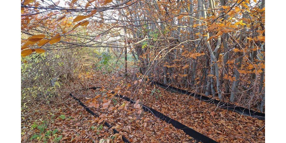 Doppelhaushälfte Dommitzsch - 4 Zimmer, 110 m&sup2;, 40.000&euro; | Angebot:25773614