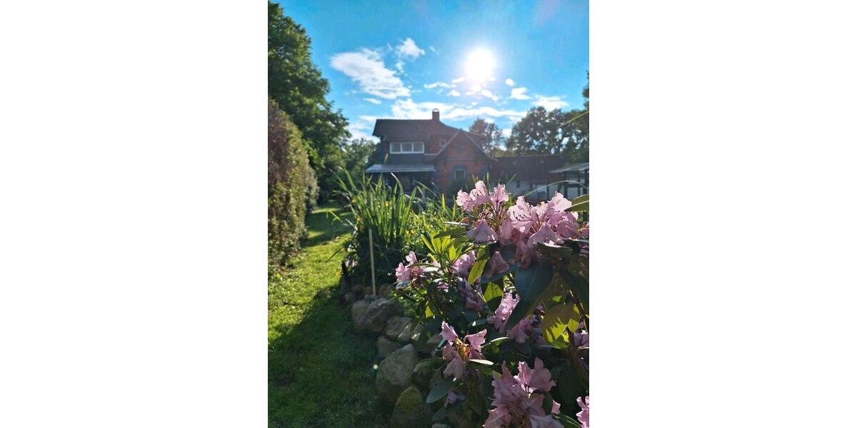 Einfamilienhaus Eldingen - 15 Zimmer, 224 m&sup2;, 390.000&euro; | Angebot:26234433