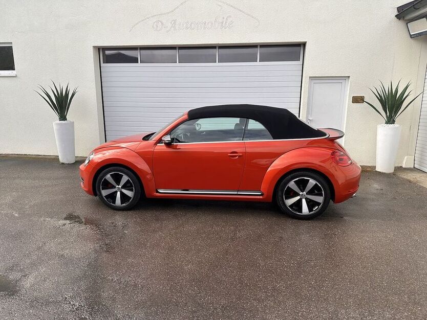 Beetle