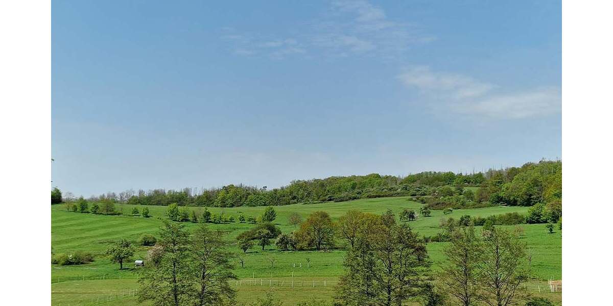 Barrierefreie Neubau - Eigentumswohnung KfW 55 ! - Erdgeschoßwohnung Ötzingen Sainerholz | Angebot:25079568