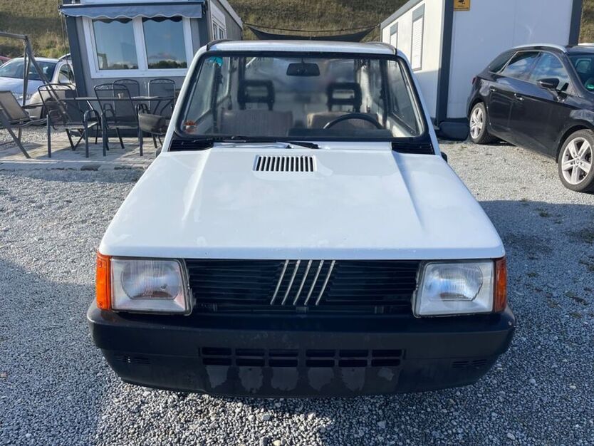 Panda