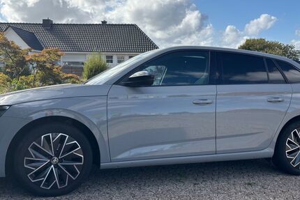 Skoda Scala 79.900 km 17.300 € Georgsmarienhütte 49124