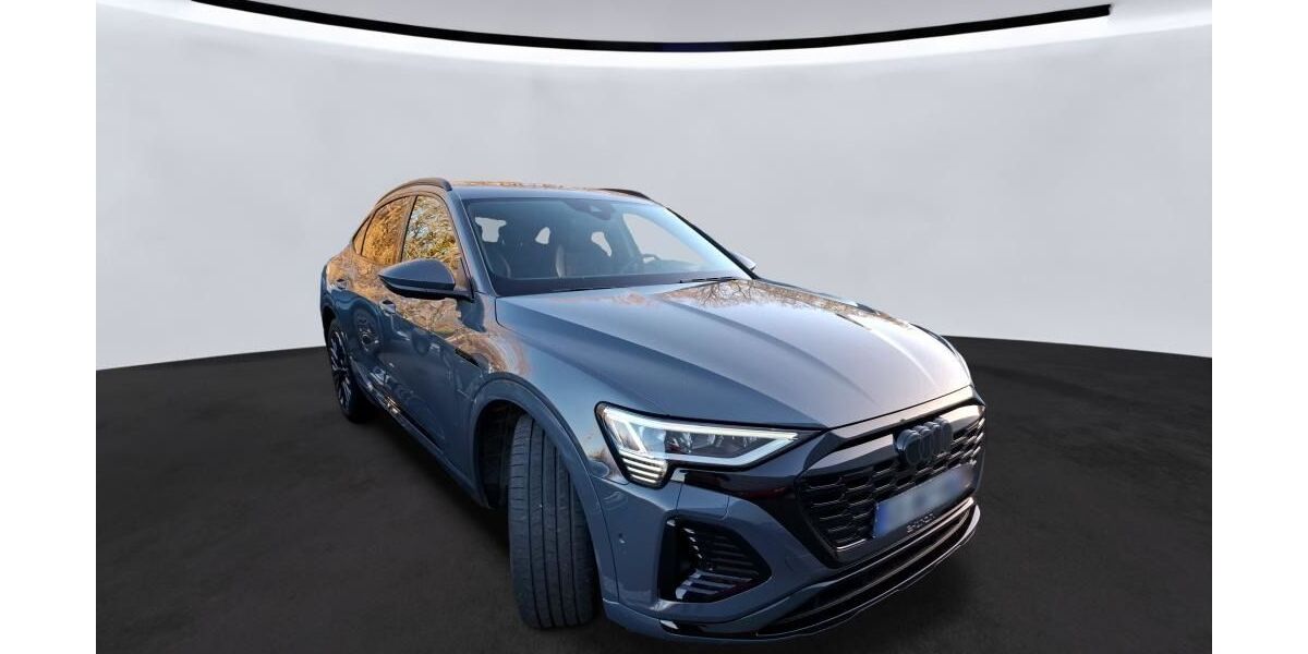 Audi Q8 e-tron 24.781 km 55.900 &euro; Ettlingen 76275