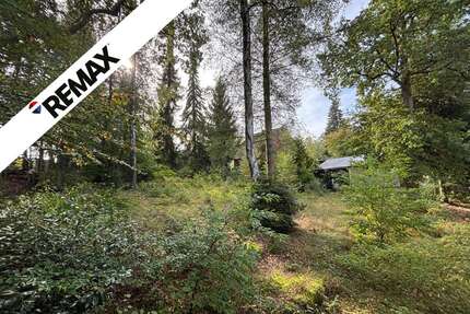 Grundstück Bendestorf - 450.000&euro; | Angebot:27694823