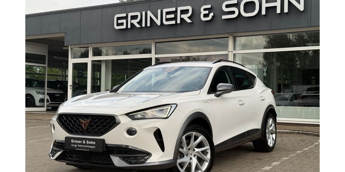 Cupra Formentor 61.540 km 21.250 &euro; Lemwerder 27809