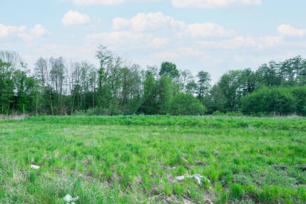 Grundstück Selfkant / Tüddern Tüddern - 129.800&euro; | Angebot:19344967