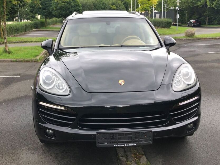 Cayenne