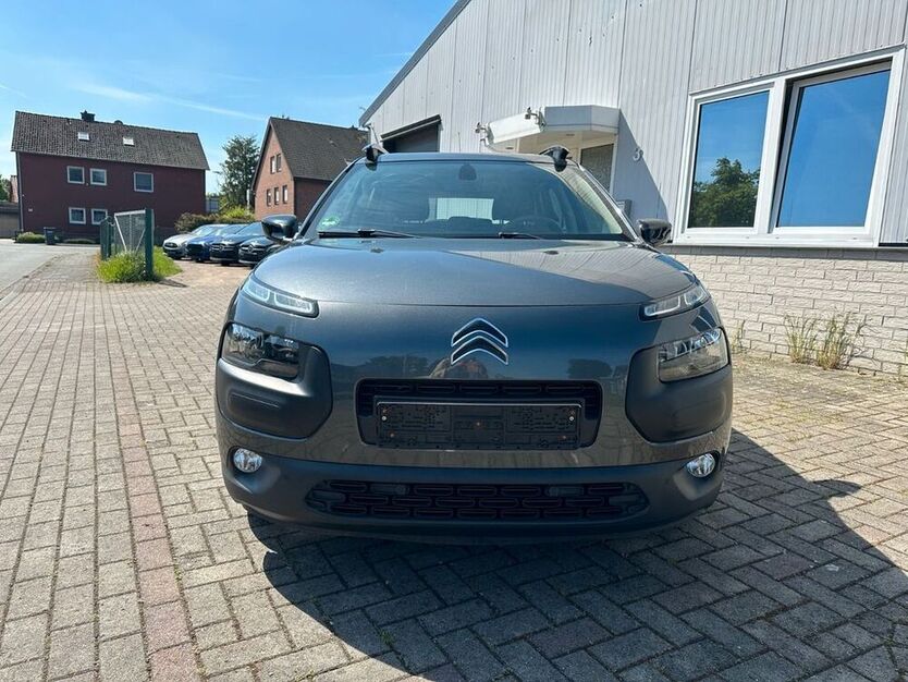 C4 Cactus