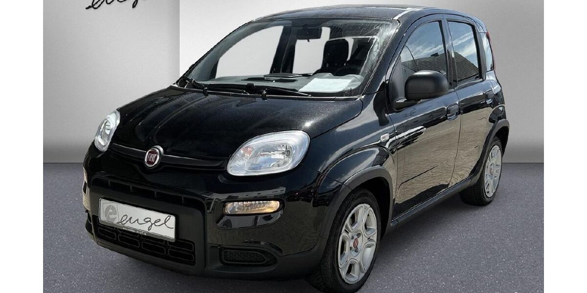 Fiat Panda 49.500 km 11.489 &euro; Wunsiedel 95632