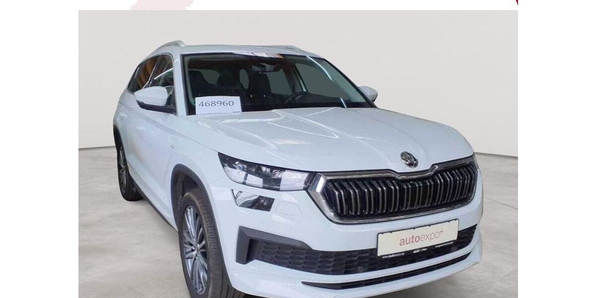 Skoda Kodiaq 170.988 km 23.989 &euro; Fernwald-Steinbach 35463