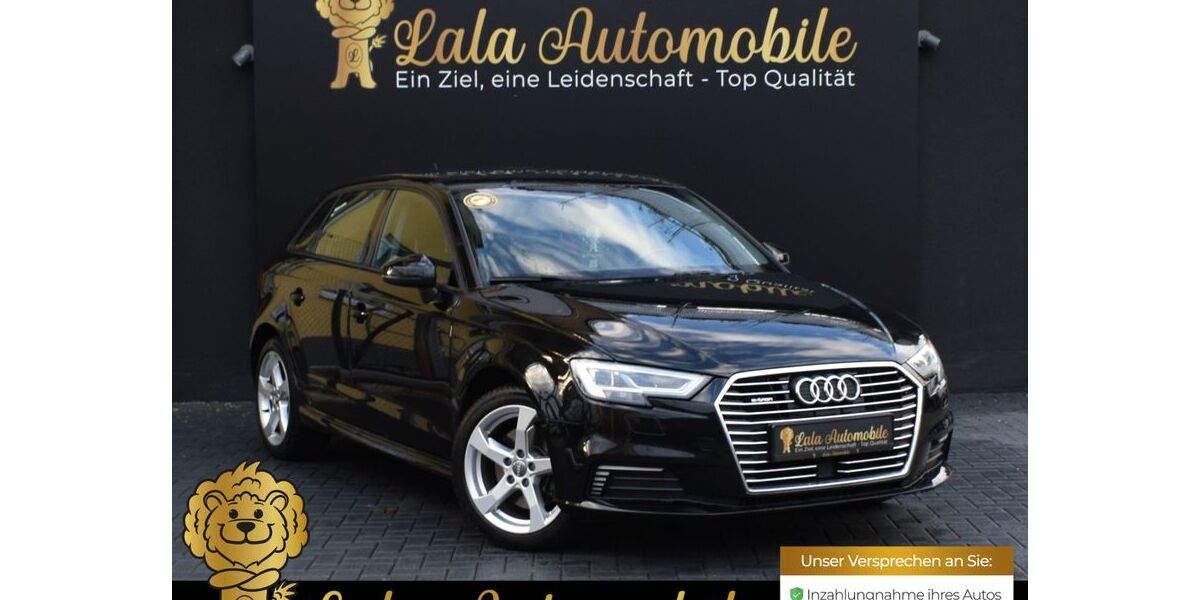 Audi A3 101.300 km 18.190 &euro; Ehrenkirchen 79238