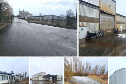 Gewerbeobjekt Wiedemar - 2.500.000&euro; | Angebot:26236917