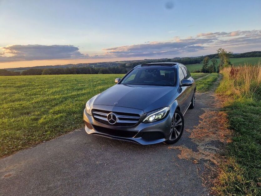 C 250