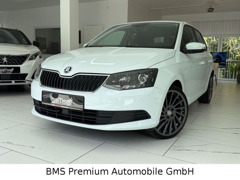 Skoda Fabia 72.665 km 8.475 € Sinzig 53489