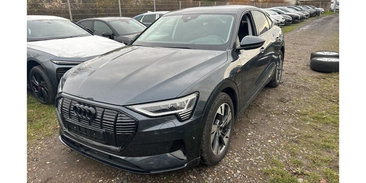 Audi e-tron 32.983 km 30.259 &euro; Hagen 58091