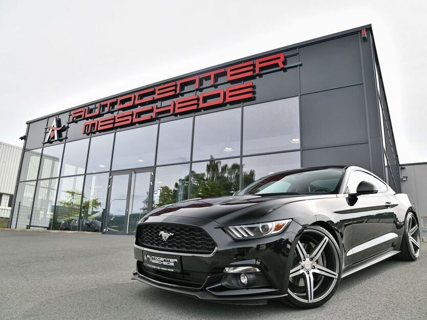 Mustang
