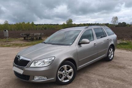 Skoda Octavia 244.000 km 3.900 &euro; Schneverdingen 29640