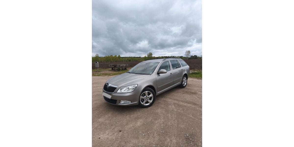 Skoda Octavia 244.000 km 3.900 &euro; Schneverdingen 29640