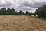 IHR NEUES KAPITEL BEGINNT HIER - Grundstück Dreiheide | Angebot:27127022