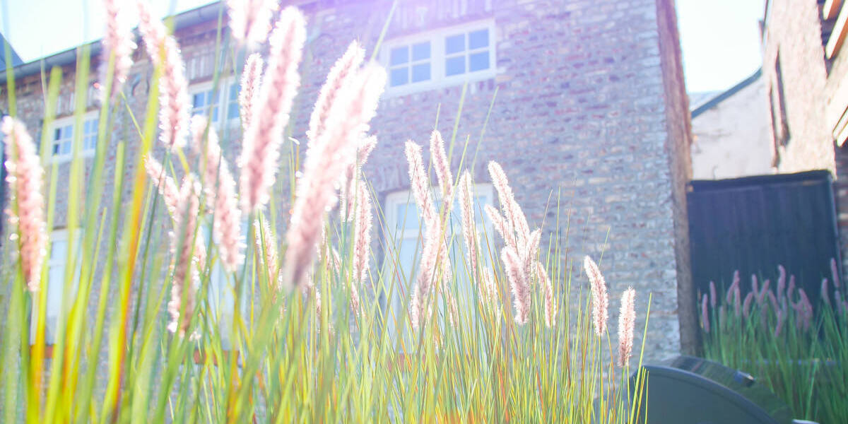 Mehrfamilienhaus, Wohnhaus Aachen / Vaalserquartier Aachen - 7 Zimmer, 280 m&sup2;, 787.080&euro; | Angebot:25772696