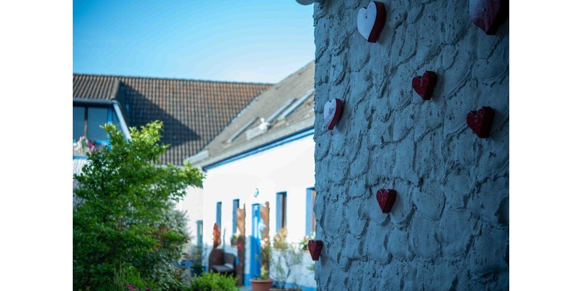 Provisionsfrei* Erfolgreicher Erlebnishof - stark nachgefragt, übernahmebereit - Gewerbeobjekt Sonnewalde | Angebot:25931826