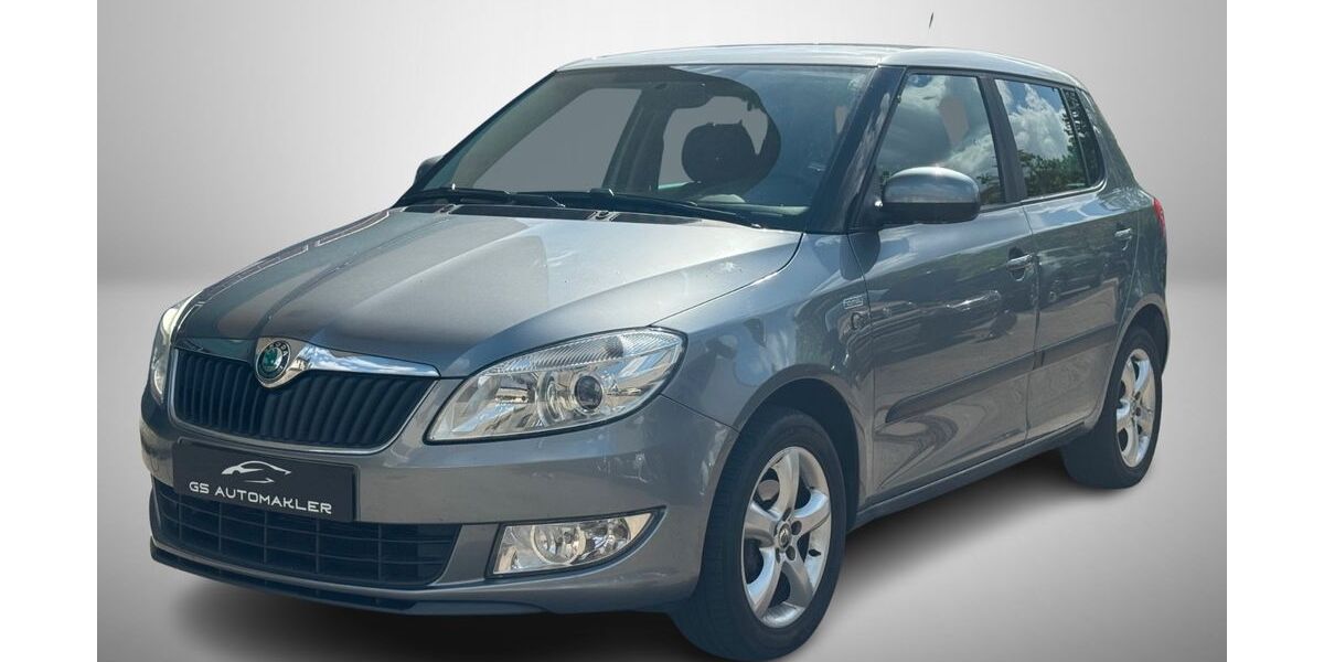 Skoda Fabia 133.291 km 5.499 &euro; Potsdam 14480