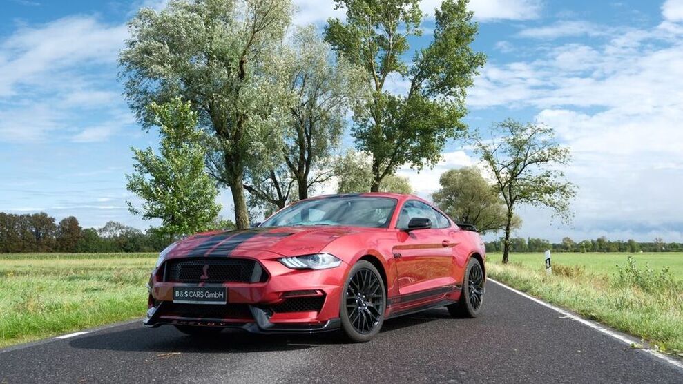 Mustang