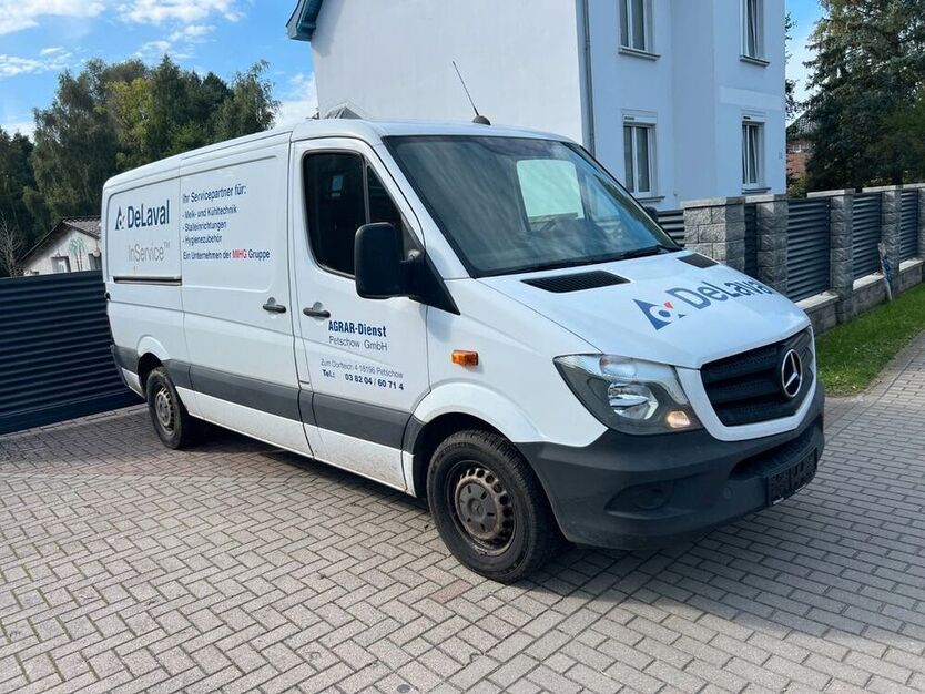 Sprinter
