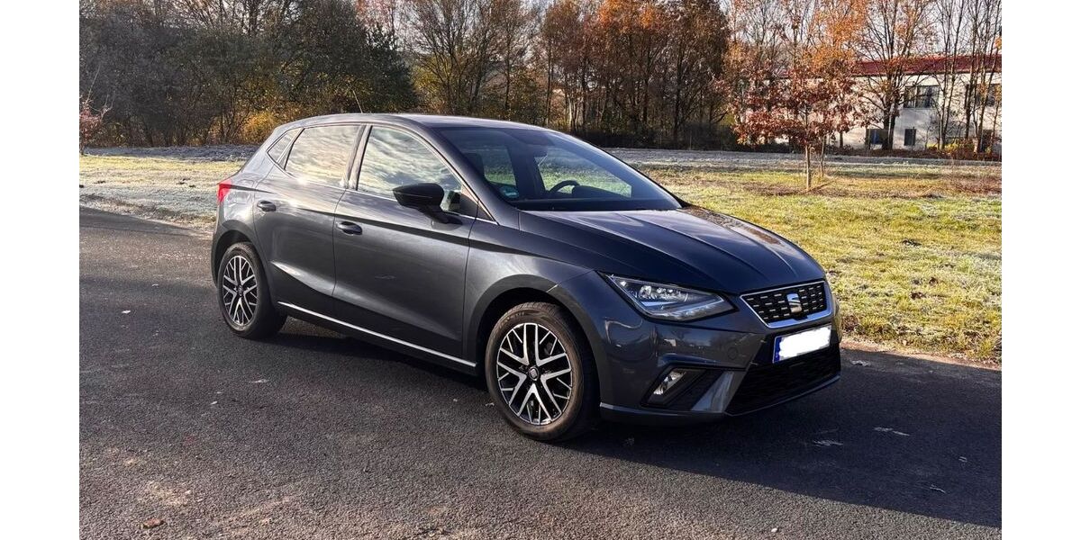 Seat Ibiza 124.000 km 13.500 &euro; Schwanewede 28790