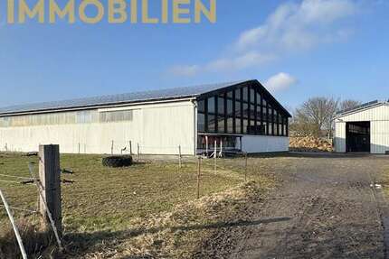 Sonstige Risum-Lindholm Lindholm - 355.000&euro; | Angebot:25394769