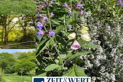 Grundstück Kolverath - 19.900&euro; | Angebot:19361313