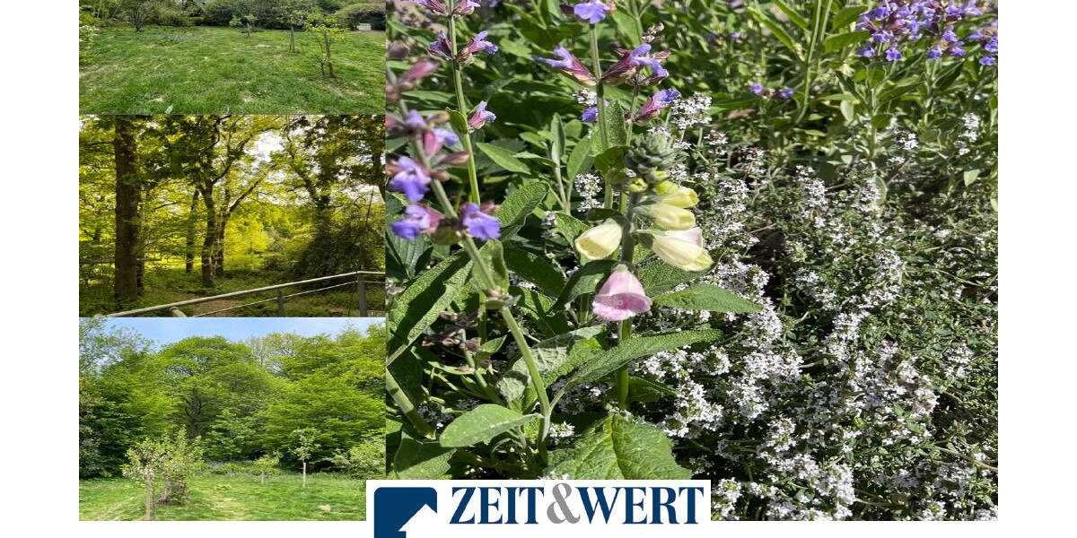 Grundstück zu verkaufen in Kolverath 19.900 € 2850 m² zimmer