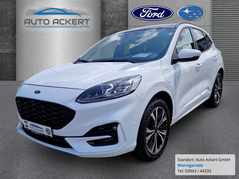 Kuga