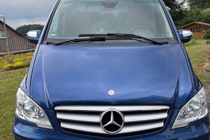 Mercedes Viano