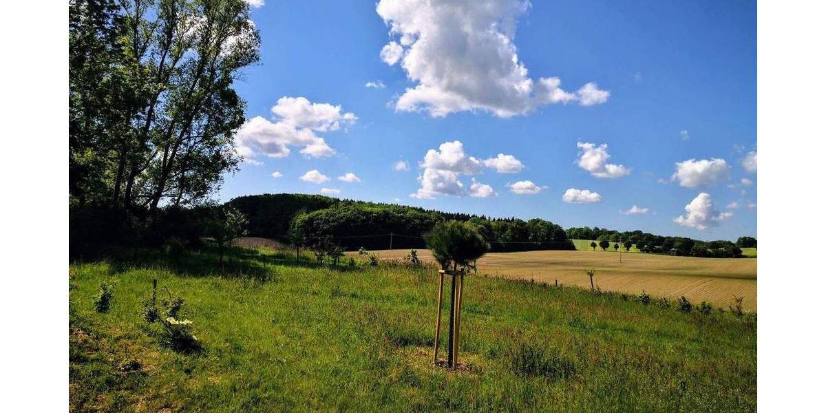 Grundstück Satow Miekenhagen - 295.000&euro; | Angebot:25716425