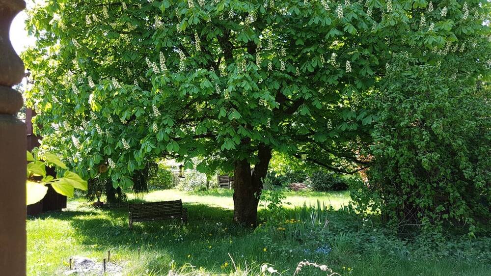 Grundstück Burgthann / Unterferrieden Burgthann - 89.500&euro; | Angebot:26289403