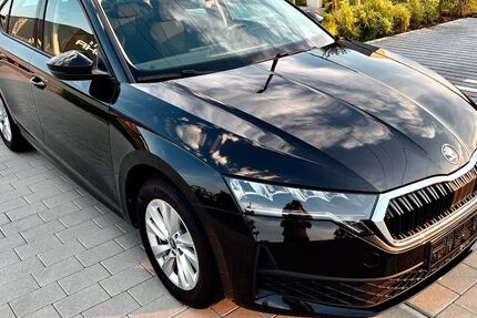 Skoda Octavia 1.554 km 23.800 &euro; Bühl-Oberbruch 77815