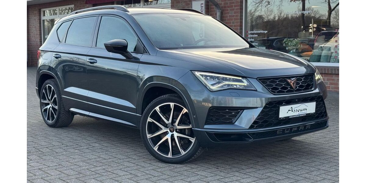 Cupra Ateca 83.821 km 24.999 &euro; Steinfeld 49439