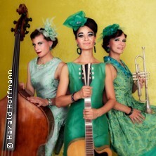 Zucchini Sistaz Trebgast