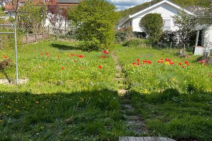 Haus Oberstenfeld - 8 Zimmer, 170 m&sup2;, 1.700&euro; | Angebot:26495713